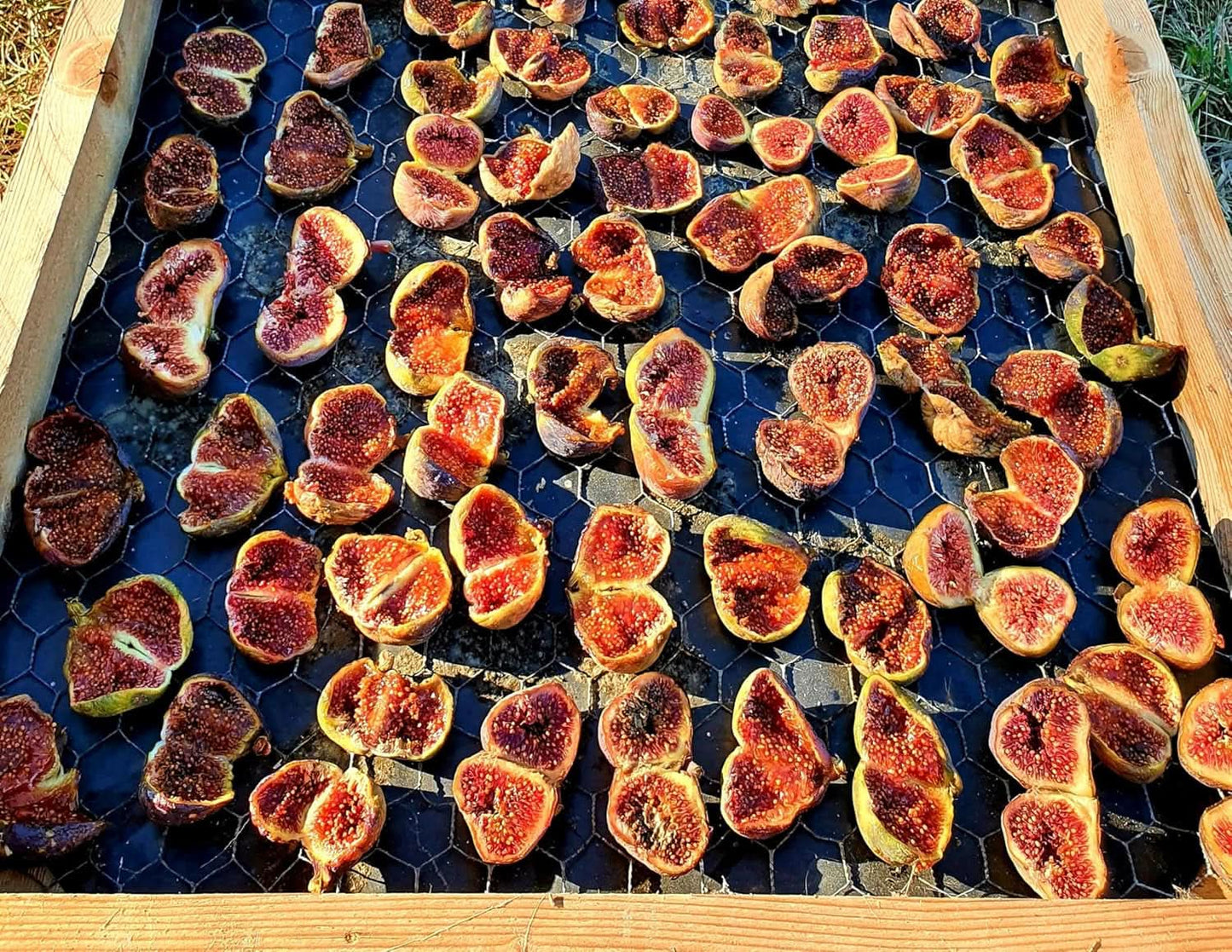 Mundo Feliz Torkade fikon från ekologisk odling, 2 x 500 gram Naty Shop torkade produkter