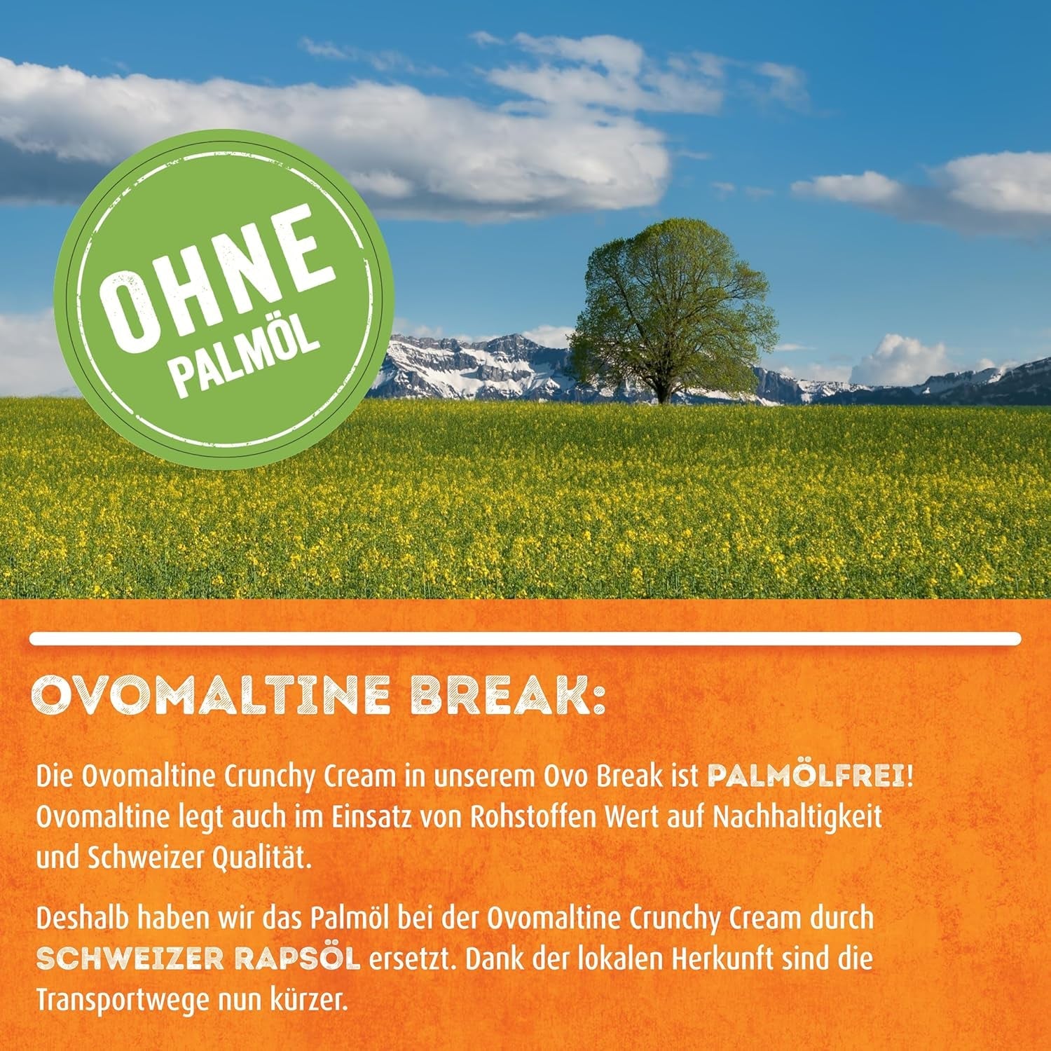 Ovomaltine OVO BREAK Wafer and Chocolate Bar - ett krispigt mellanmål med den omisskännliga smaken av vår populära Creme Crocante, naturligt utan palmolja (4 x 39g)