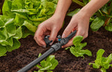 Gardena Micro-Drip-System T-stycke för sprutmunstycken: Anslutning mellan 13 mm rör och ett sprutmunstycke, automatisk växtbevattning, snabb och enkel anslutningsteknik, återanvändbar (13206-20)