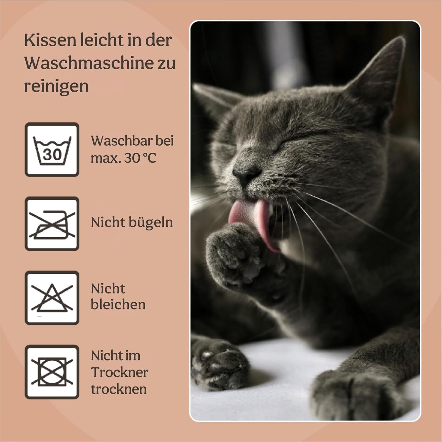 Sängar, filtar & möbler, husdjur, katter, kattsängar, Katter - sängar, madrasser