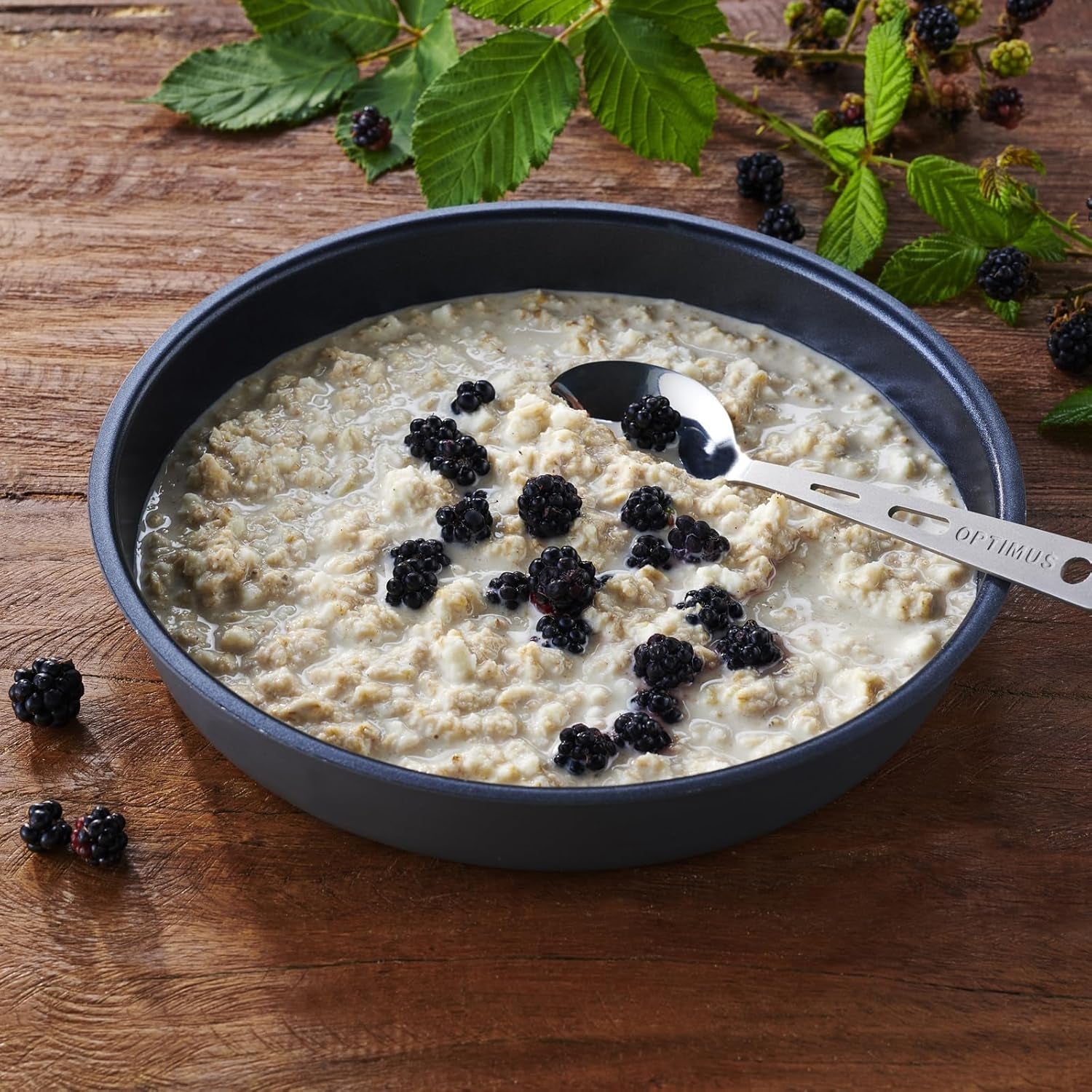 Trek'n Eat Protein Gröt – Proteinrik frukost för utomhusbruk | Frystorkat bord för camping, vandring och expeditioner | Mätning, snabb att förbereda, perfekt för resor