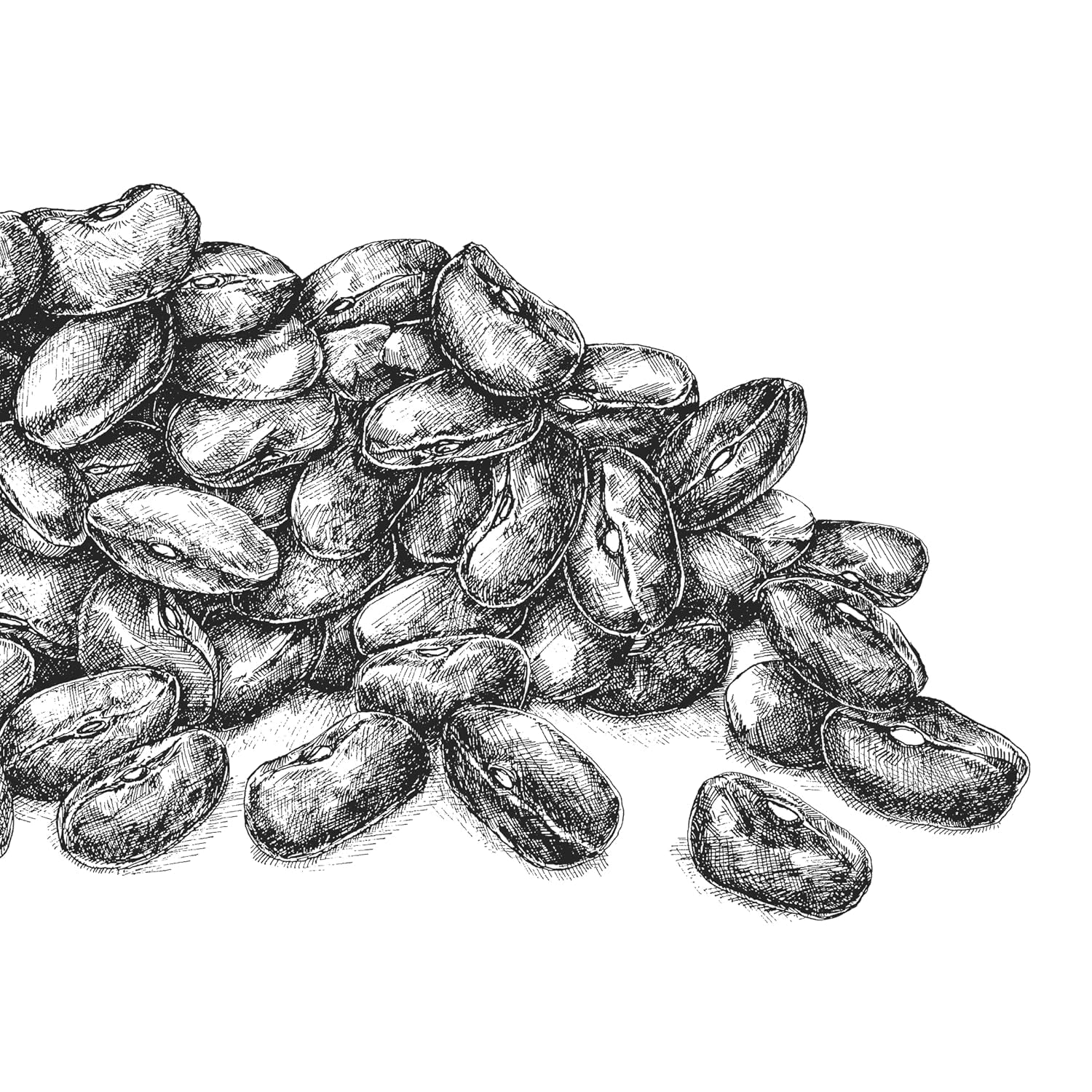 Bovete BioGourmet Demeter – 500g påse | Glutenfri, fiberrik och regional | Från tyskt ekologiskt jordbruk (Baden-Württemberg/Bayern) | Perfekt för müsli, sallader och tillbehör