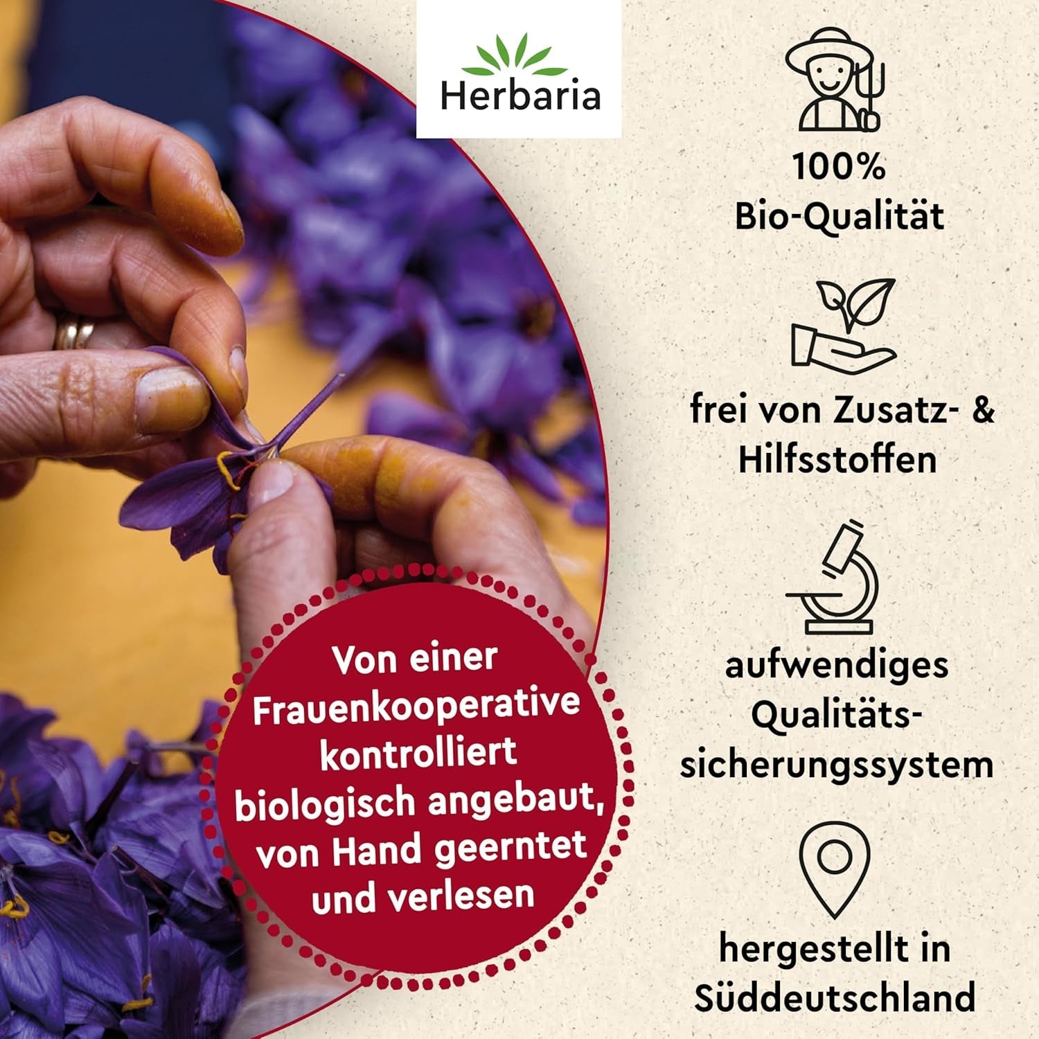 Herbaria Safran-Fäden bio 0,5g im Glas – Bio Saffron-Fäden aus dem bereicht Safran-Ort Taliouine i Marokko – Safranfäden in Premium Bio-Qualität – Saffron Premium - Safran première catégorie