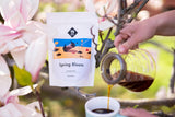 Vårblomningsfilter | 250 g fullkorn | rättvist och hållbart | nystekt | kaffebönor 100% Arabica | specialkaffe | 19 gram Cafe Roastery...