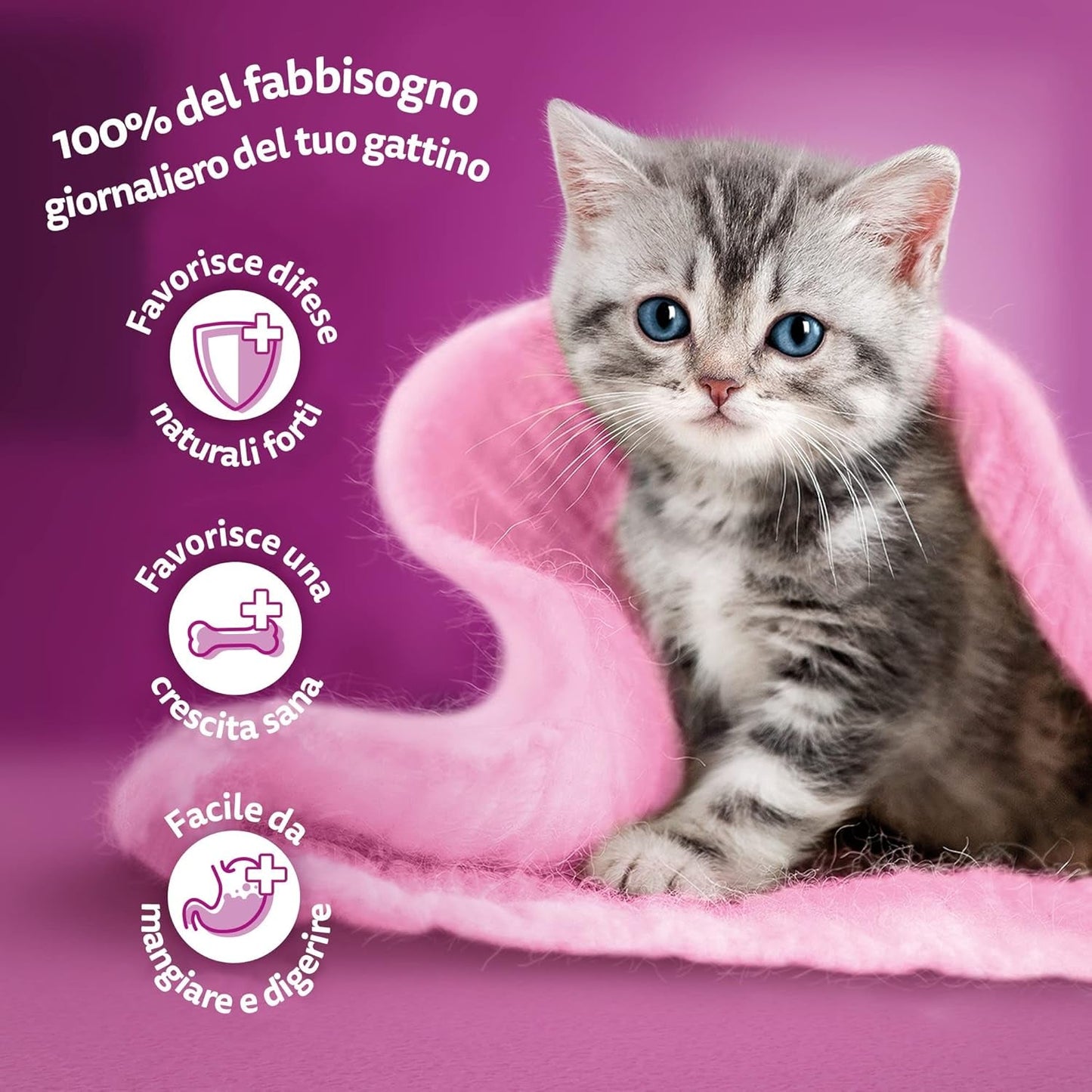 Whiskas Junior Classic våtmat för katter, 13 x 4 x 85 g