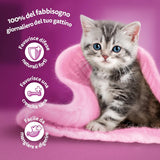Whiskas Junior Classic våtmat för katter, 13 x 4 x 85 g