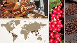 New York Coffee - EXTRA P - Kaffebönor, stark och avgörande smak, Arabica- och Robustabönor, för malning, italiensk espresso, barblandning - premiumkvalitet sedan 1930 - 1 kg, bönor