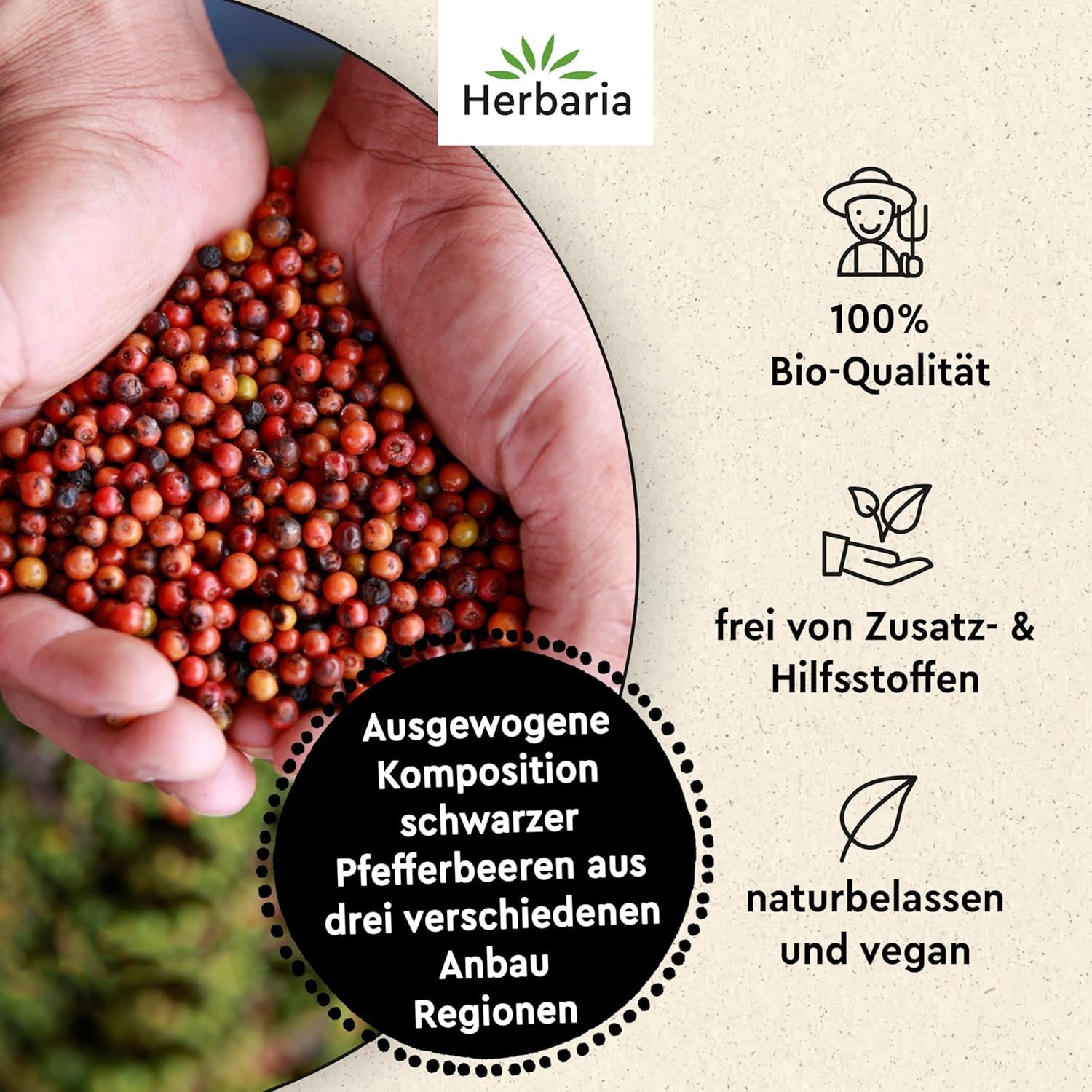 Herbaria Trio Noir bio 75g M-Dose – Bio Pfeffer schwarz ganz – ganze Pfefferbeeren – schwarze Pfeffermischung aus biologiska Anbau von drei verschiedenen Regionen - in nachhaltiger Aromaschutz-Dose