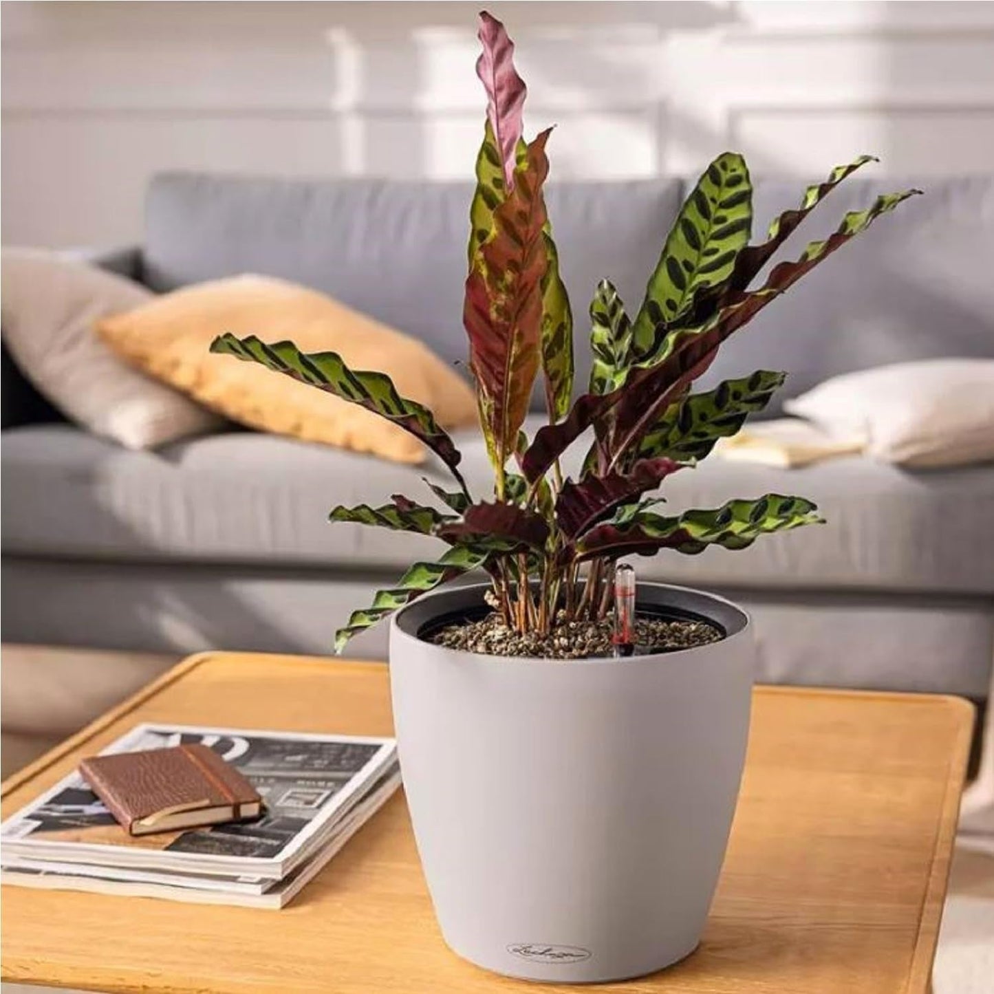 Planteringskärl LECHUZA Classico Color LS skiffergrå med bevattningssystem |Ø 35 × 32 cm|14281