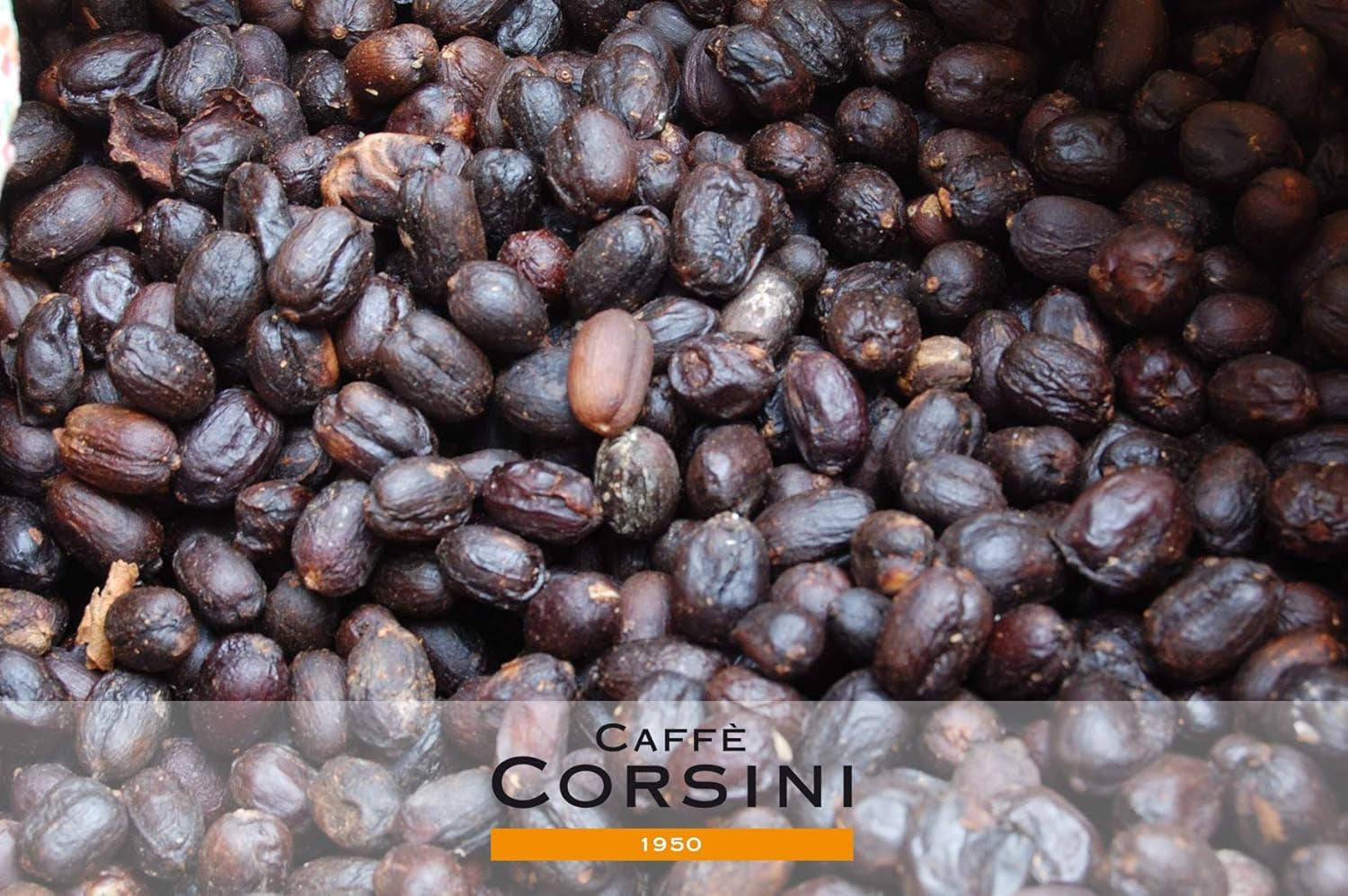 Caffè Corsini - Kaffeebohnen 3x250g Compagnia Dell'Arabica Set Guatemala/Äthiopien/El Salvador, Einzelner Ursprung, totalt 750g