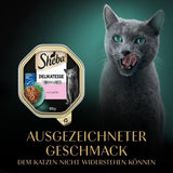 Sheba Wet Cat Food, delikatess i laxgelé, 2 x 11 x 85g
