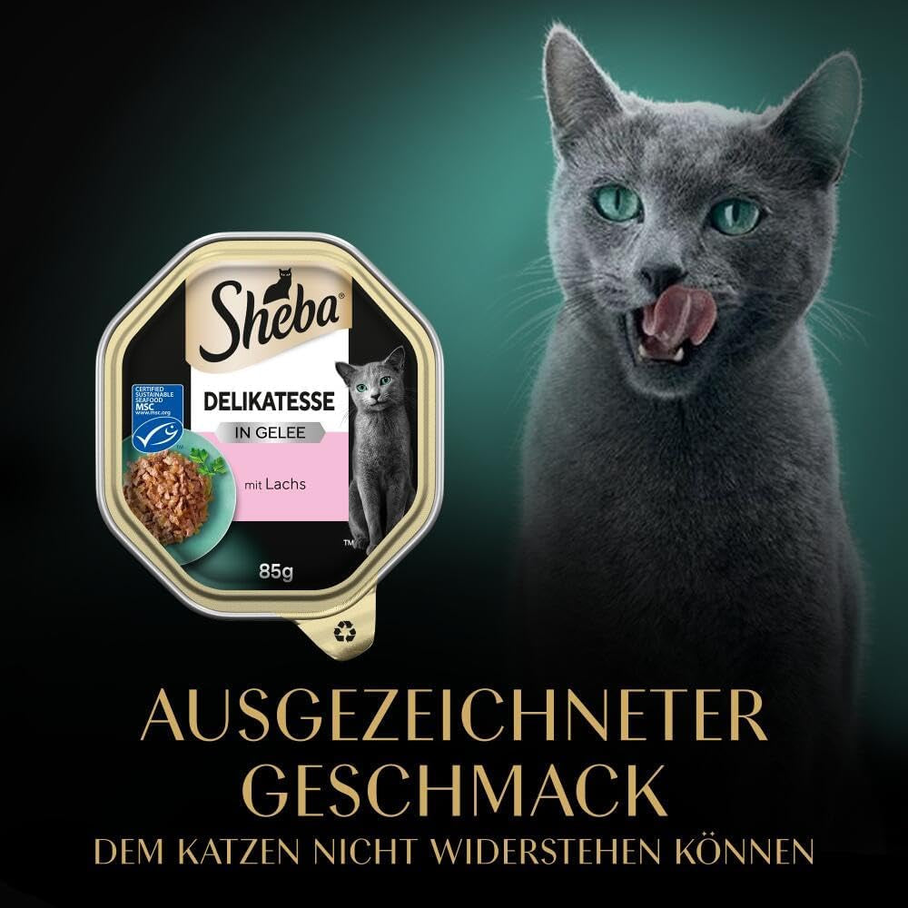 Sheba Wet Cat Food, delikatess i laxgelé, 2 x 11 x 85g
