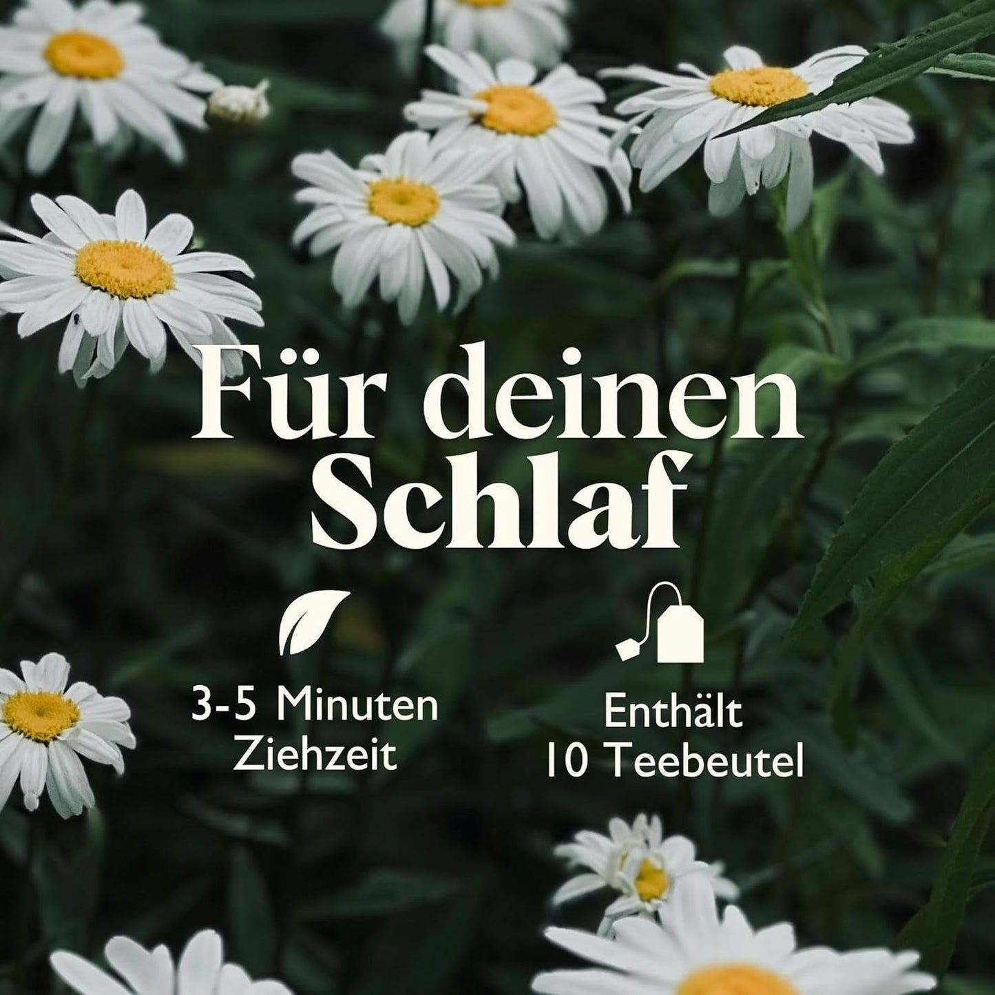 Twinings SWEET DREAMS Kamomillte med honung, apelsin och limeblom - Söt blandning av örtteer för naturlig sömnförbättring, 12-pack (10 tepåsar vardera)