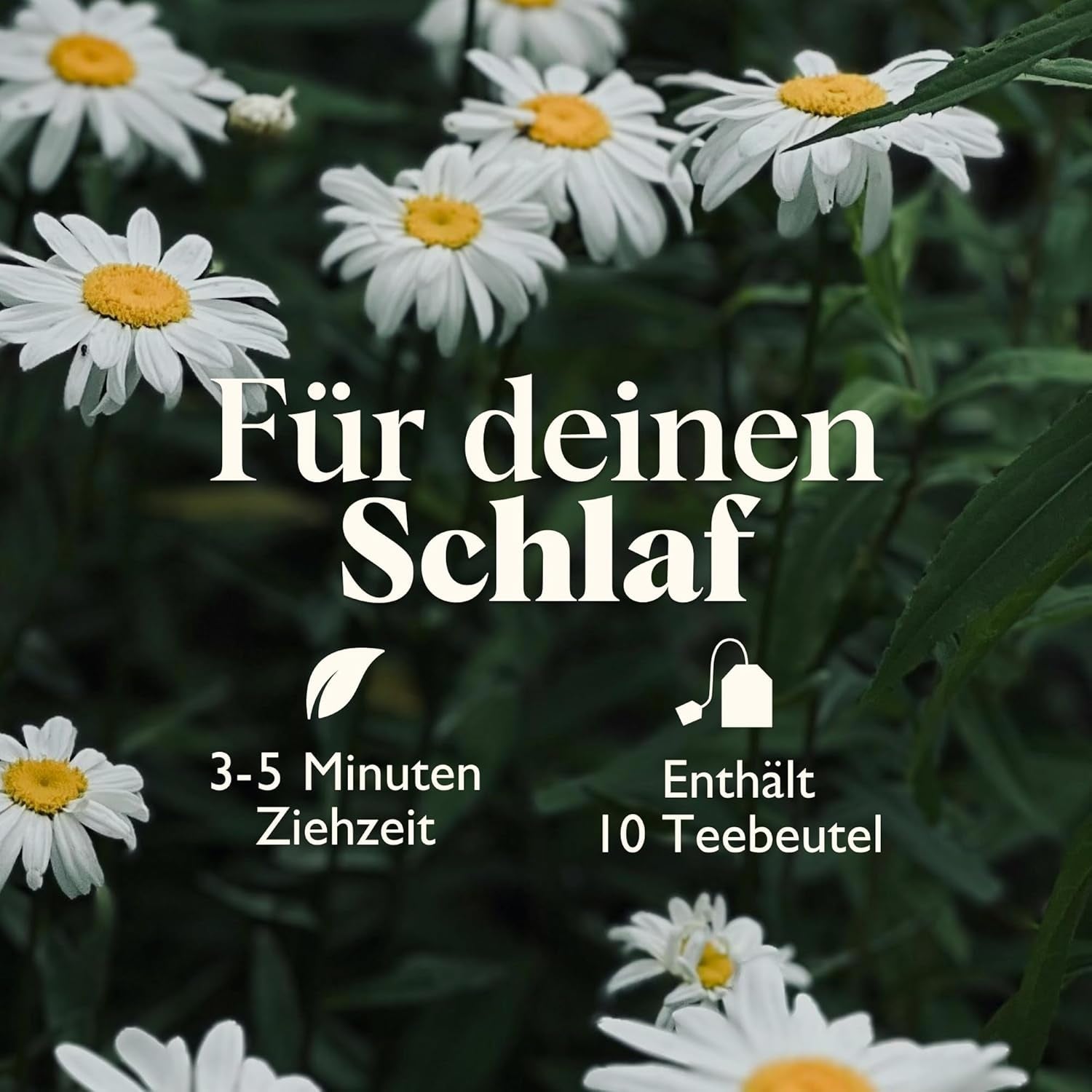 Twinings SWEET DREAMS Kamomillte med honung, apelsin och limeblom - Söt blandning av örtteer för naturlig sömnförbättring, 12-pack (10 tepåsar vardera)
