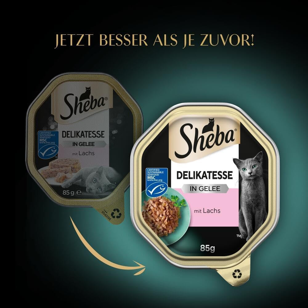 Sheba Wet Cat Food, delikatess i laxgelé, 2 x 11 x 85g