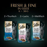 Sheba Portion Pouches Våtfoder för katter, Multipack Fresh & Fine i gelé med MSC tonfisk och lax, 6x6x50g - Hälsosamma måltider för katter med gelé
