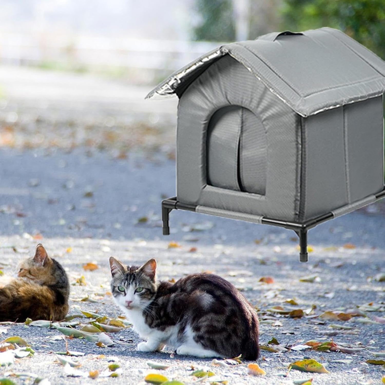 Filtar och möbler, husdjur, grottor och hus, katter, sängar för katter, katter - sängar, madrasser