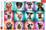 Trefl TR27119 Funny Dog Portraits II 2000 bitar, premiumkvalitet, för vuxna och barn från 12 år Pussel, färgat pussel Naty Shop