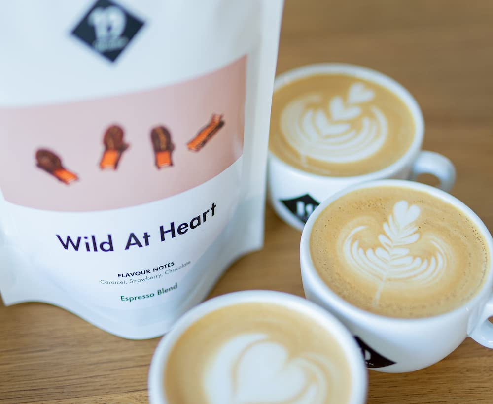 Wild At Heart Espresso | 250g Bohnen gås mäss & hållbar | frisch geröstet | 100% Arabica Kaffeebohnen | specialkaffe | 19 gram Kaffeerösterei