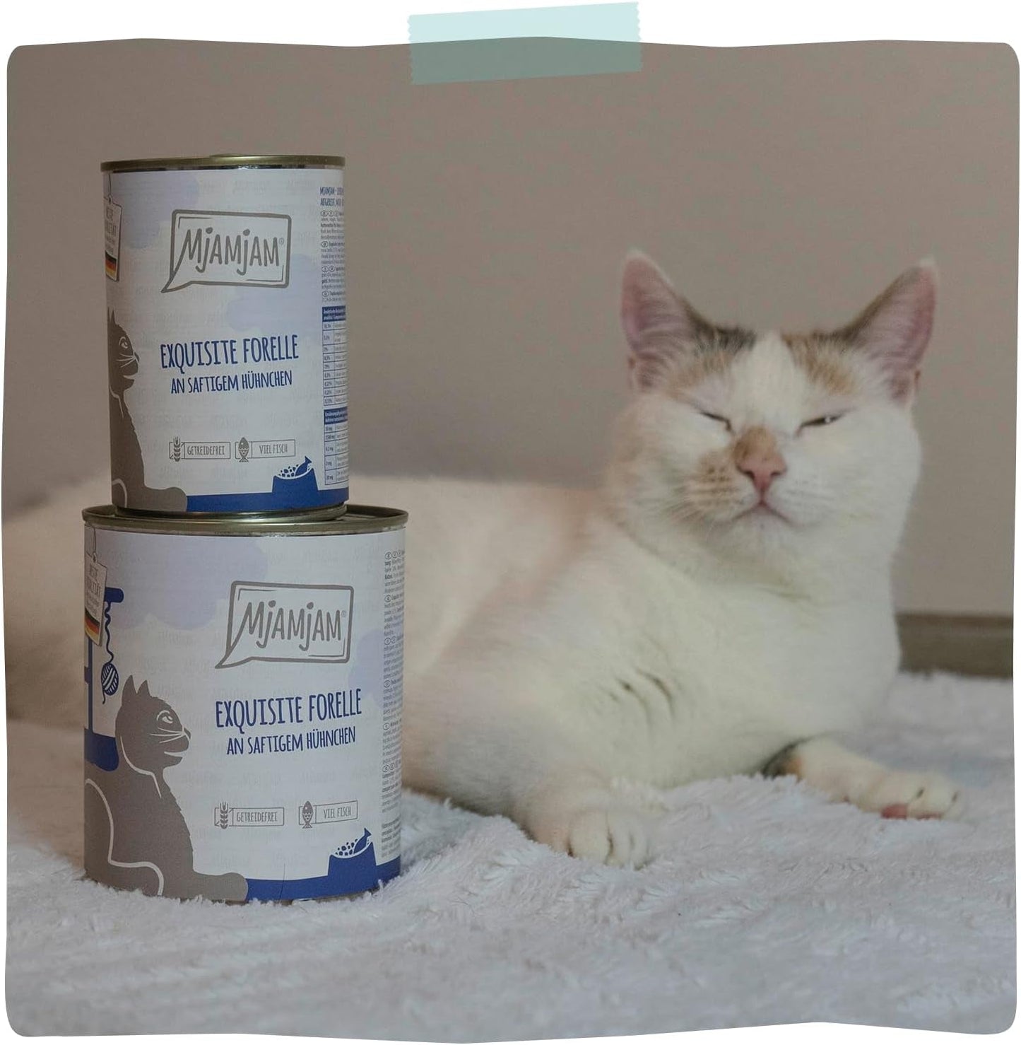 MjAMjAM - Premium våt kattmat - Raffinerad öring med saftig kyckling, förpackning om 6 (6 x 400 g), spannmålsfri