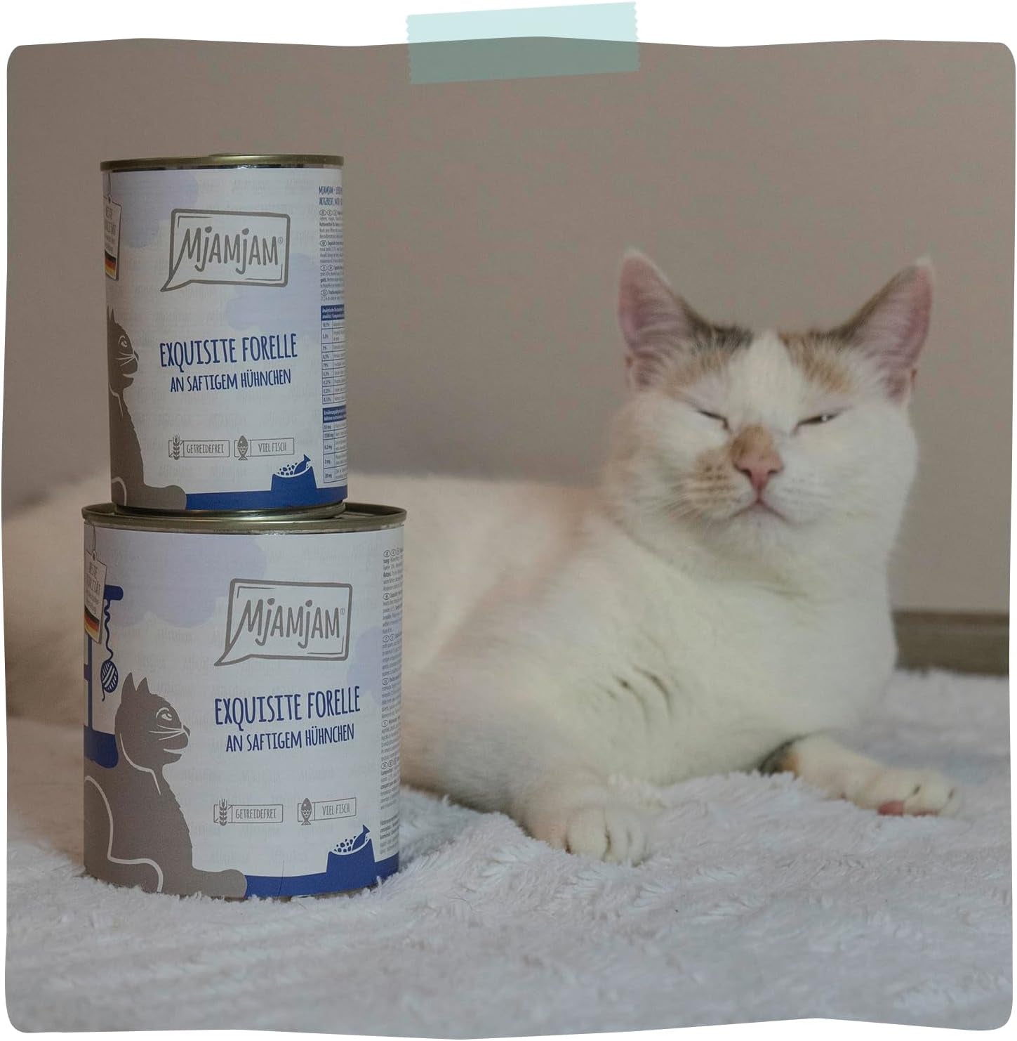 MjAMjAM - Premium våt kattmat - Raffinerad öring med saftig kyckling, förpackning om 6 (6 x 400 g), spannmålsfri