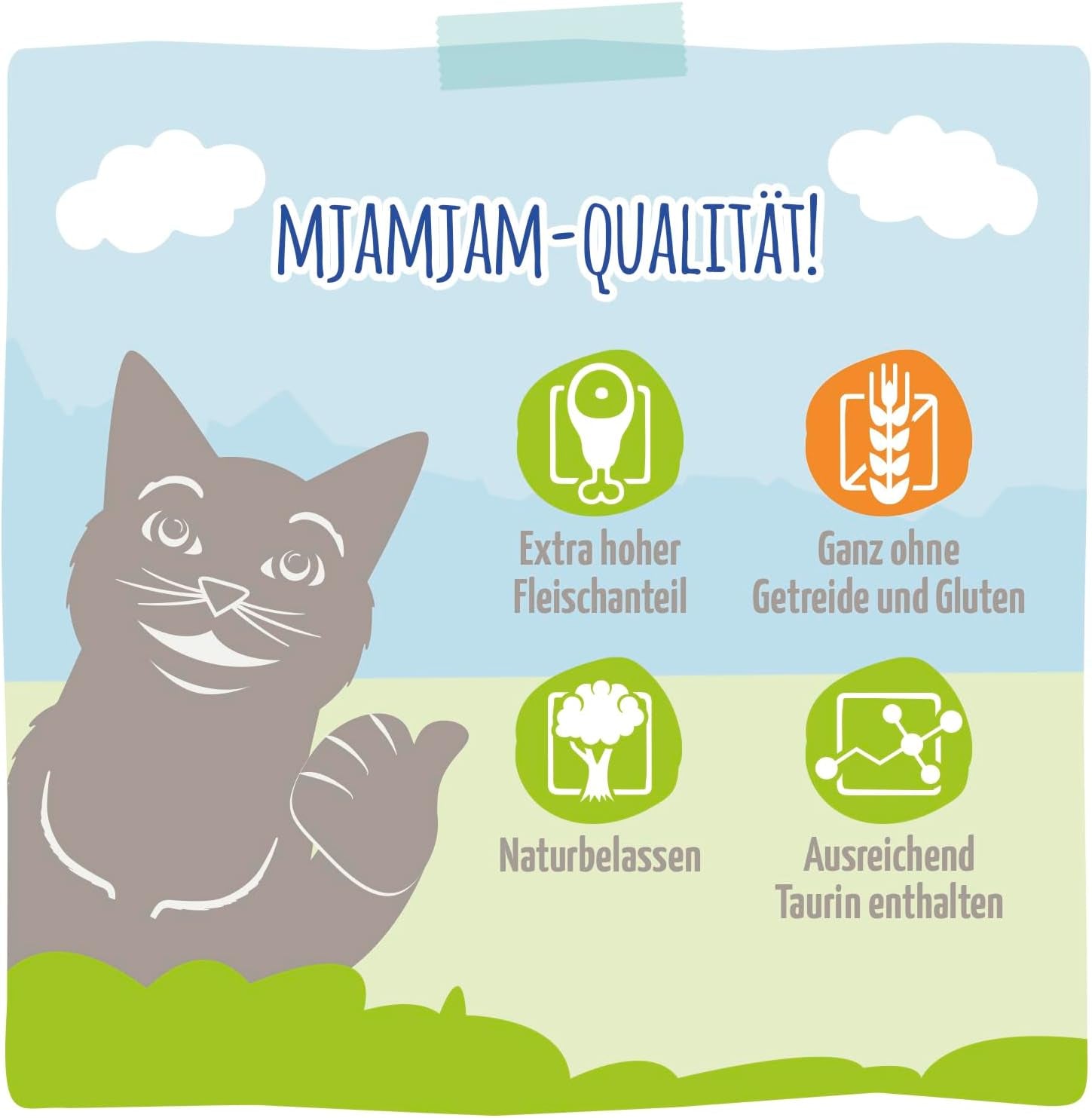 MjAMjAM - Premium våt kattmat - Raffinerad öring med saftig kyckling, förpackning om 6 (6 x 400 g), spannmålsfri