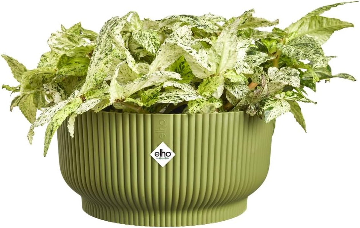 elho Vibes Fold Bowl 25 - Blomkrukor inomhus - 100% återvunnen plast - Ø 24,9 x H 12,1 cm - Grön/Ferngrün