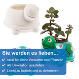 Baker Ross FX594 Turtle Keramiska planteringskärl - paket med 2, måla din egen plantera