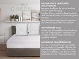 Traumnacht Green Basic Kuddset bestående av två kuddar 80 X 80 Cm, Oeko-Tex certifierade, tillverkade enligt tysk kvalitetsstandard Naty Shop standardkuddar