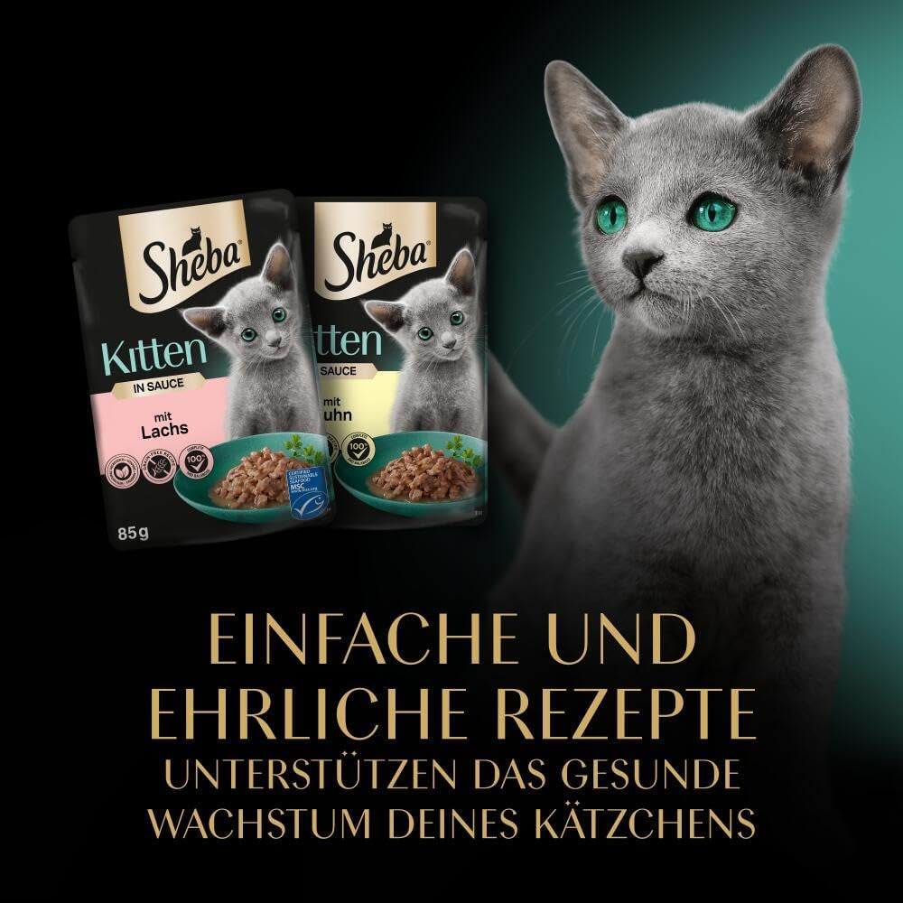 Sheba våtfoder för kattungar, i olika påsar, med lax (MSC) och kyckling i sås, multipack 40x85g