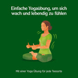Yogi-te - Grönt te med ingefära och citron, ekologiskt ayurvediskt te med kryddor och örter, blandning av grönt te, ingefära och citron, Yogi-te 3-pack, 3x17 tepåsar (totalt 51 tepåsar), perfekt som present