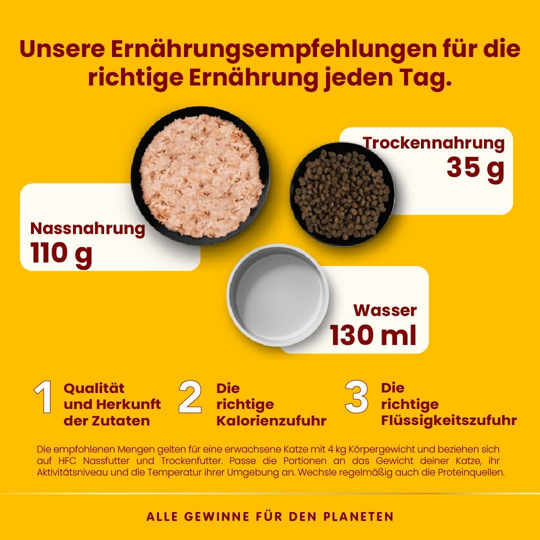 Almo Nature HFC Jelly - Nassfutter für ausgewachsene Katzen - Lachs - Human Grade, Glutenfri & Monoprotein - 6 x 70g