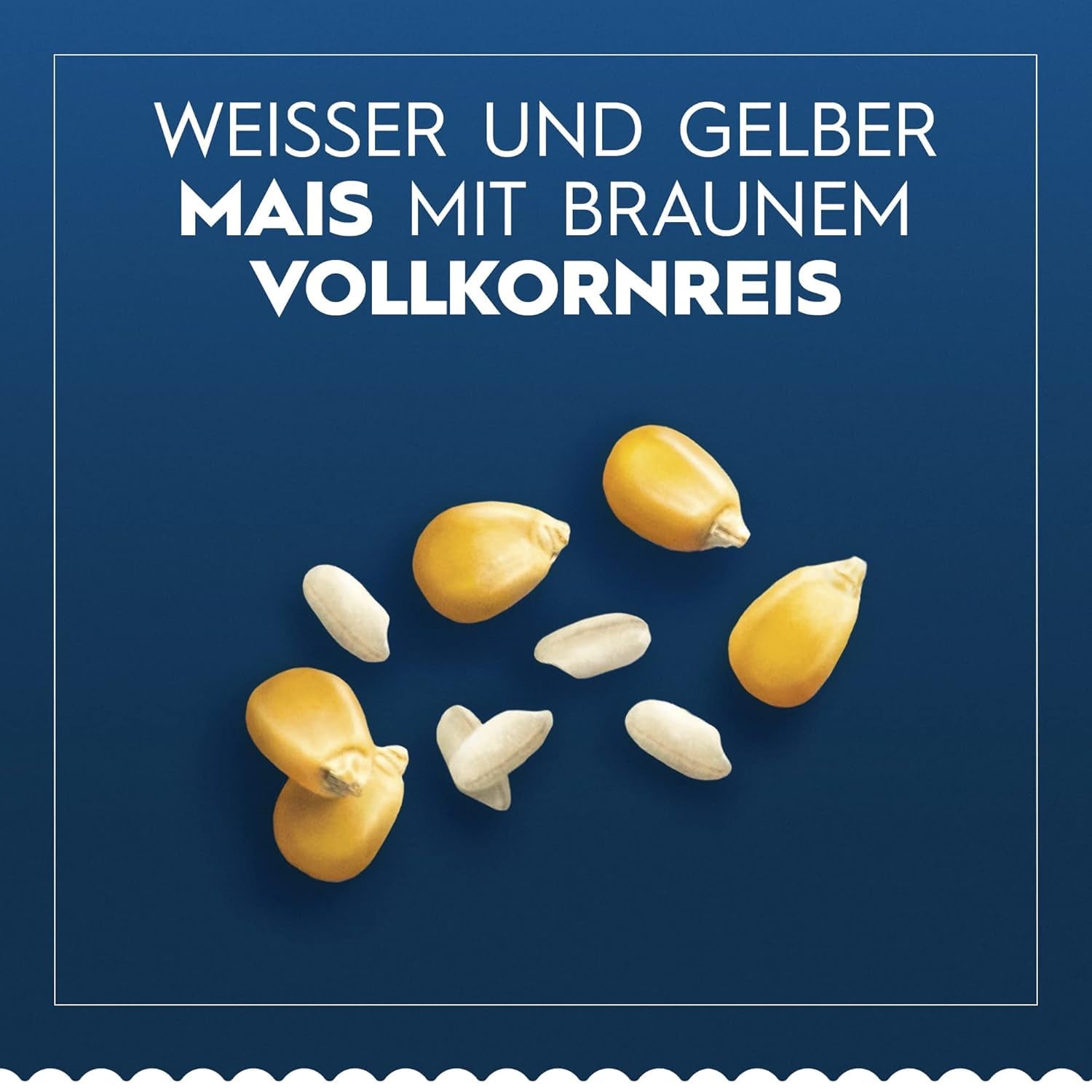 Barilla Pasta Glutenfri Lasagne, gjord på läcker majs och ris, perfekt för personer med celiaki eller glutenintolerans, 10-pack (10 x 250 g)