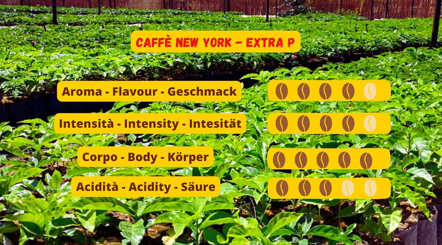 New York Coffee - EXTRA P - Kaffebönor, stark och avgörande smak, Arabica- och Robustabönor, för malning, italiensk espresso, barblandning - premiumkvalitet sedan 1930 - 1 kg, bönor