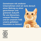 Applaws 100% naturlig Premium-Nassfutter för Katzen, Thunfischfilet med Algen i Brühe - Packung med 24 x 156g Dosen