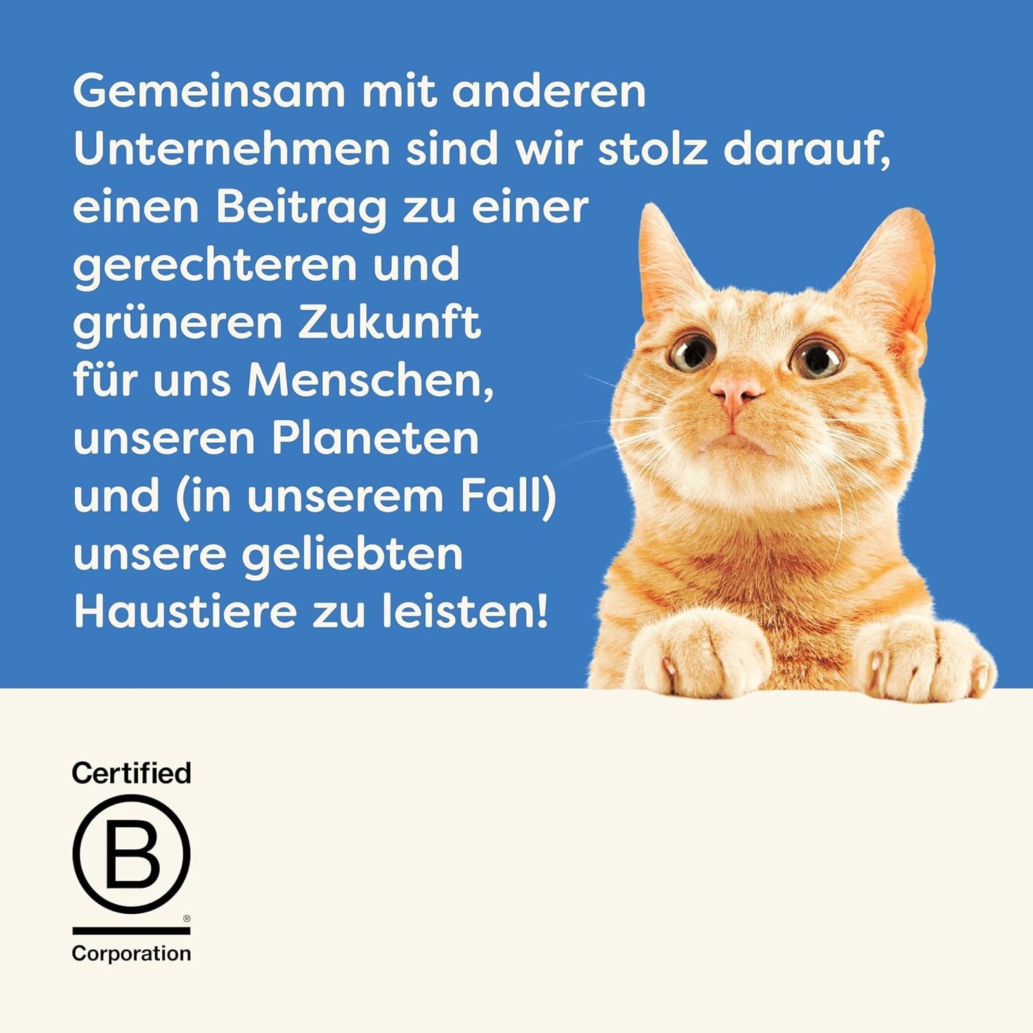 Applaws 100% naturlig Premium-Nassfutter för Katzen, Thunfischfilet med Algen i Brühe - Packung med 24 x 156g Dosen