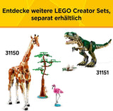 LEGO Creator 3In1 Green Dragon - Leksak - Förvandlas till en havsorm eller fenix - Djurbyggande leksak för barn - Present till pojkar och flickor från 9 år 31161 Byggset Besuche den LEGO-Store