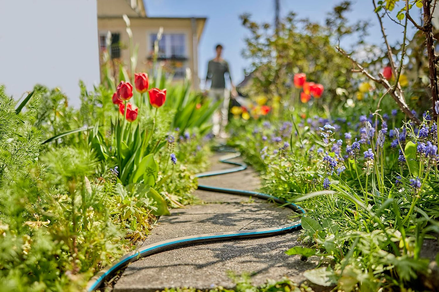 Gardena EcoLine slang 1/2 tum, 20 m utan systemkomponenter: Hållbar trädgårdsslang av återvunnen plast, fri från ftalater och föroreningar, stark greppfunktion, frost- och UV-beständig (18930-20)