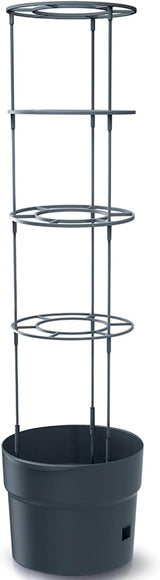 Prosperplast tomatplantakrukor med spaljé – Kraftig plastkruka | Antracit | Väder- och UV-beständig | 29,5 x 115,2 cm | Perfekt för trädgården och terrassen