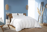 Abeil Couette Douceur Et Fraicheur Blanc Quilt Feran Ice Soft And Fresh, Vit, 240 X 260 Cm, Polyester, 240X260 Quilts and Quilts Naty Shop