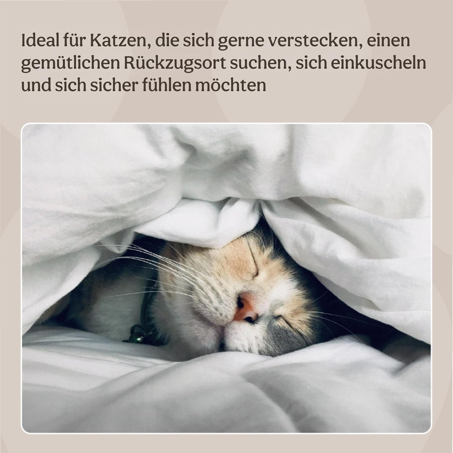 Sängar, filtar & möbler, husdjur, katter, kattsängar, Katter - sängar, madrasser