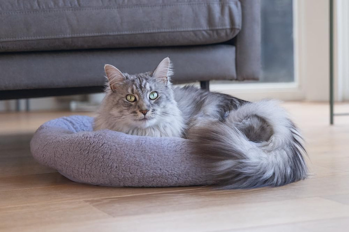 Sängar, filtar & möbler, husdjur, katter, kattsängar, Katter - sängar, madrasser
