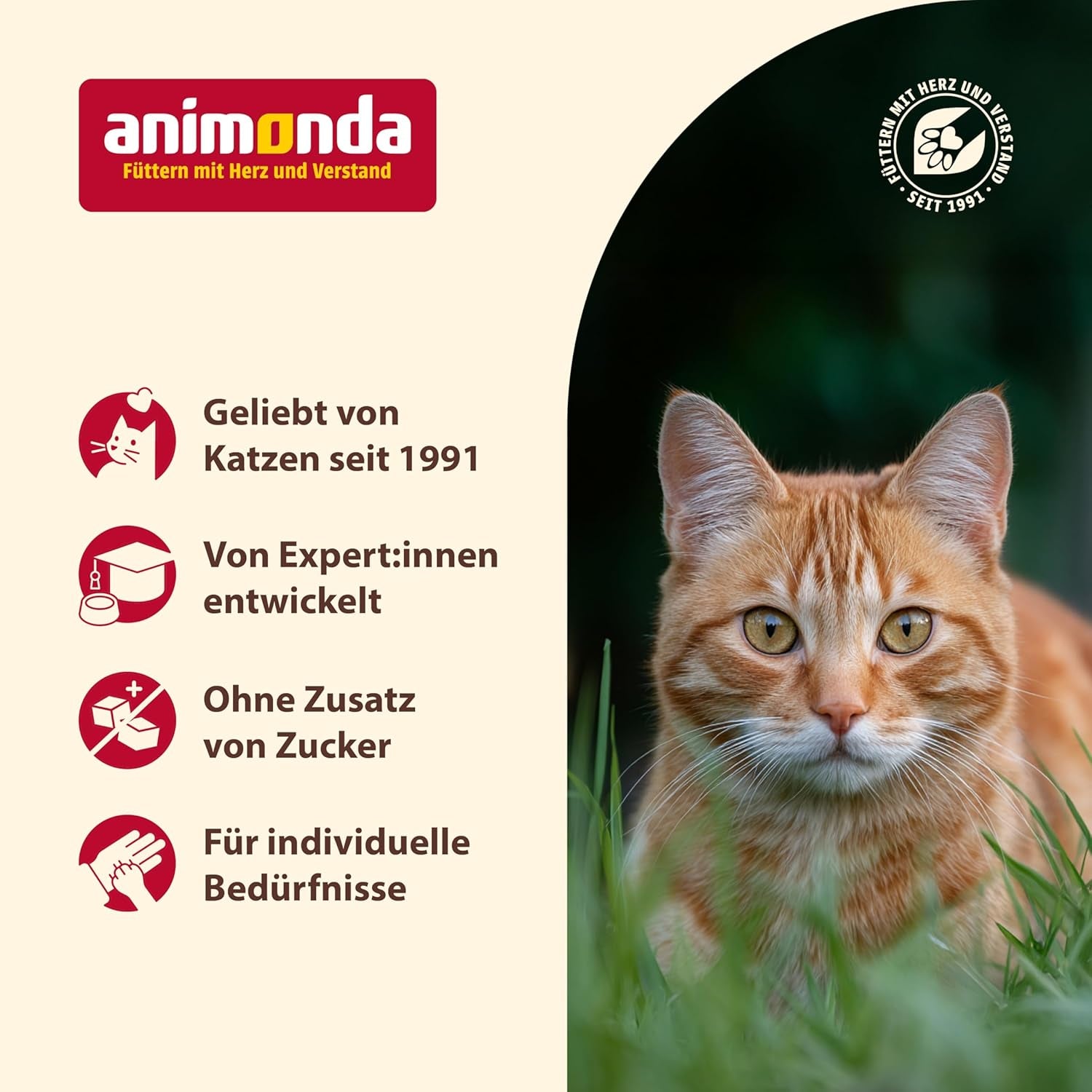 Animonda Carny våt kattmat kalkon + kyckling + räkor (6 x 800 g), spannmålsfri, sockerfri våtfoder med färska köttingredienser