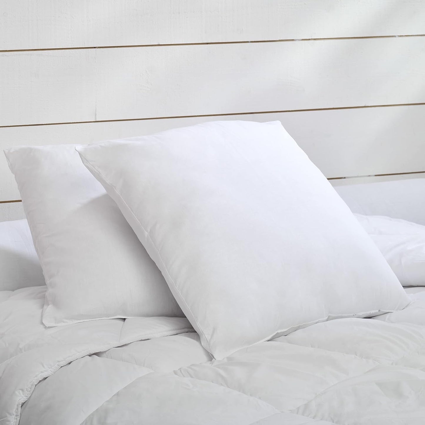 Blå Câlin Set med 2 kuddar med fast komfort "Alaska", superfyllning, 100% bomull Percale kuvert, vit, 65 X 65 Cm Fyrkantig form Naty Shop Standardkuddar Fyrkantig form 65 X 65 Cm