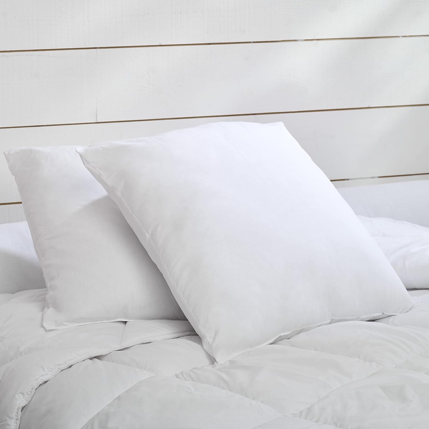 Blå Câlin Set med 2 kuddar med fast komfort "Alaska", superfyllning, 100% bomull Percale kuvert, vit, 65 X 65 Cm Fyrkantig form Naty Shop Standardkuddar Fyrkantig form 65 X 65 Cm
