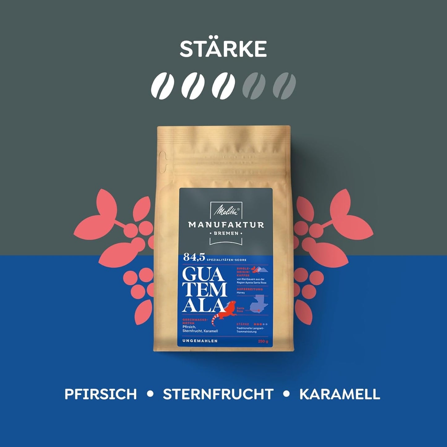 Melitta Manufaktur-Kaffee Guatemala Honung, Spezialitäten, 250g, Ganze Bohnen, Ungemahlen, Single-Origin, Sanfte Trommelröstung, Geröstet i Deutschland, Stärke 3