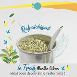 ORIGEENS BIO YERBA MATE MED MYNTA OCH CITRON 200 G - Friskhet I Orostad Bio Yerba Mate, blad, utan stjälkar och damm