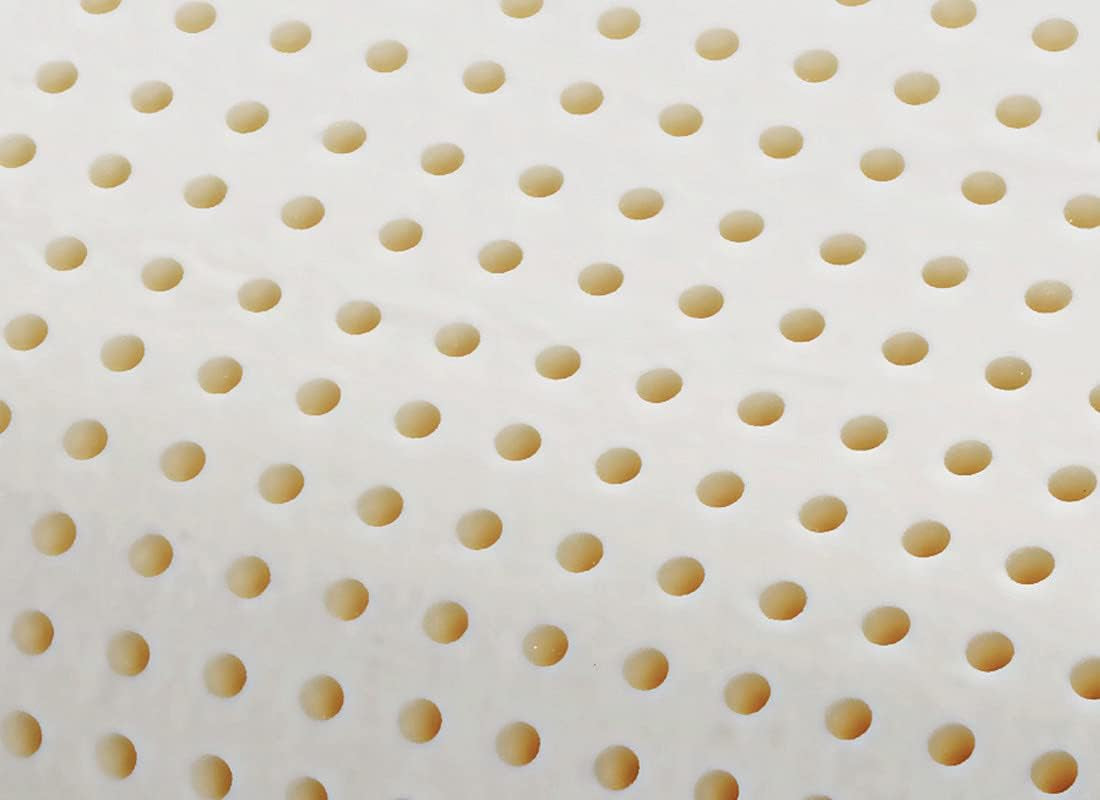 Ortopedisk nackstödskudde - Ekologisk Aloe - Aloe Vera Viskoelastisk kudde 14 cm Höjd 100 % bomullsöverdrag Visco-kudde - Memory Foam-kudde - Tillverkad i Italien Naty Shop Standardkuddar