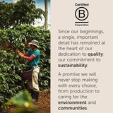 illy, Kaffee E.S.E. Pads Einzeldosis CLASSICO, 100% Arabica med Noten von Orangenblüten och Jasmin, Sanfter Gesmack och Süßer Nachgeschmack, 1 Packung mit 18 compostierbaren kapselsn