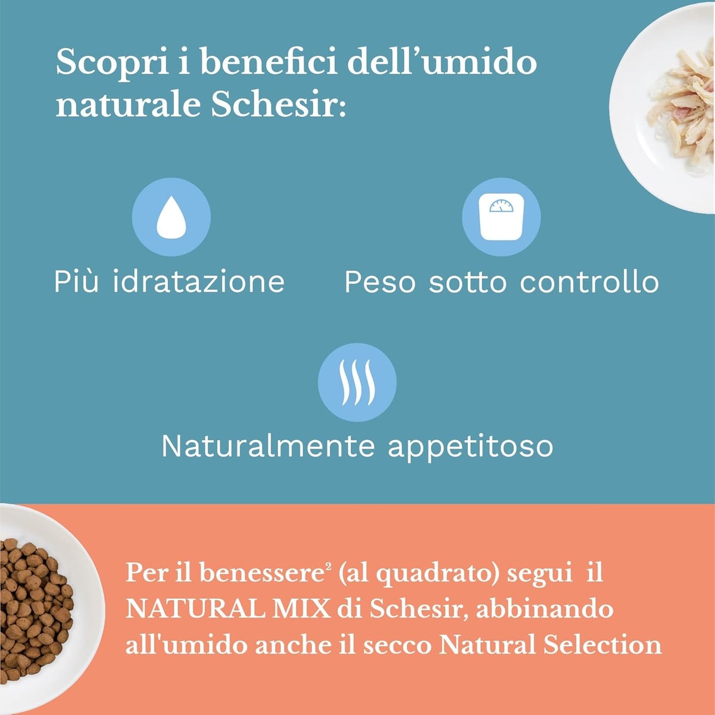 Våtfoder för vuxna katter, kycklingfiléer i filéer och 100% naturlig gelé, förpackning med 6 lådor x 85g